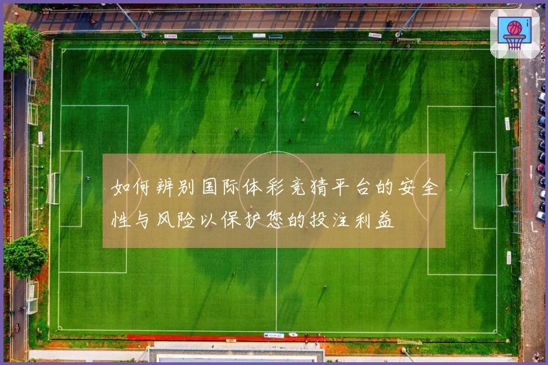 如何辨别国际体彩竞猜平台的安全性与风险以保护您的投注利益
