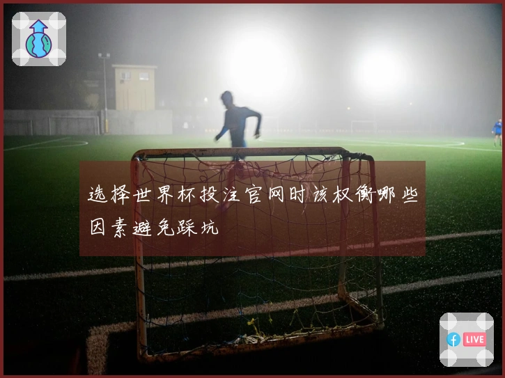 选择世界杯投注官网时该权衡哪些因素避免踩坑