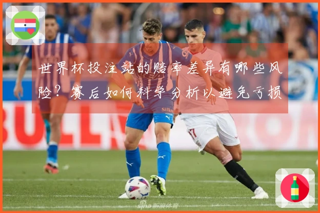世界杯投注站的赔率差异有哪些风险？赛后如何科学分析以避免亏损