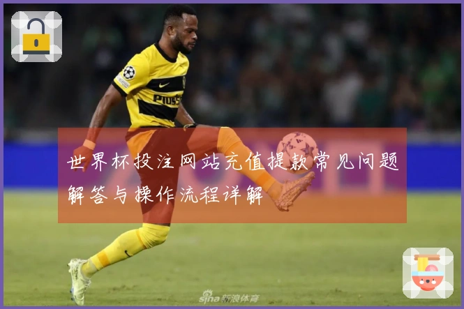 世界杯投注网站充值提款常见问题解答与操作流程详解