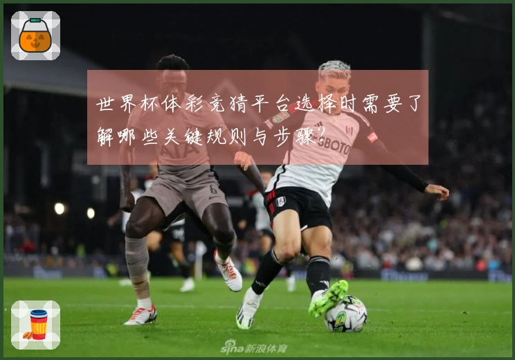 世界杯体彩竞猜平台选择时需要了解哪些关键规则与步骤？