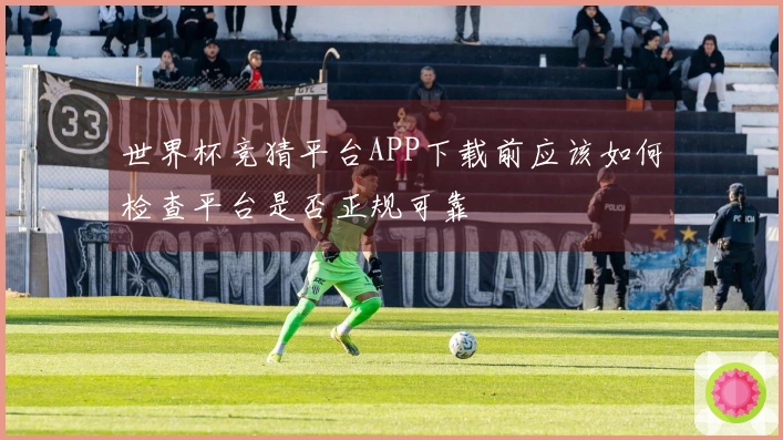 世界杯竞猜平台APP下载前应该如何检查平台是否正规可靠